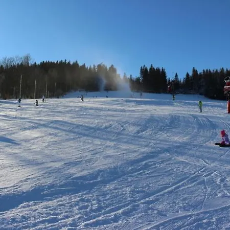 Domek Karpatka 2 Przy Wyciagu Narciarskim 4 Pokoje Dwie Lazinki