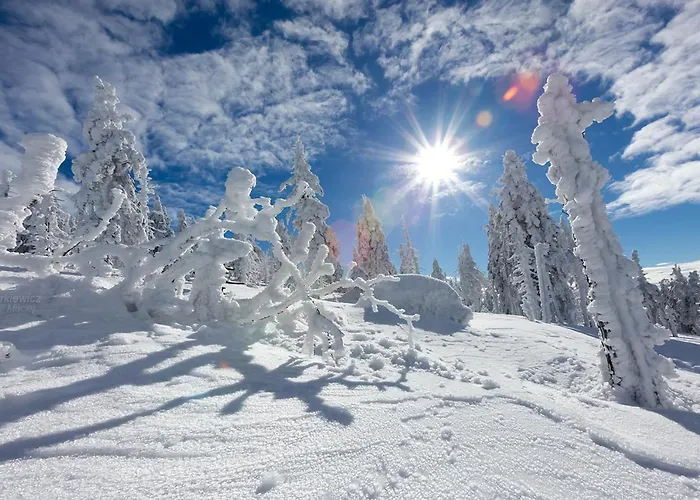 Karpatka 2 Przy Wyciagu Narciarskim 4 Dwie Lazinki Апартаменты Карпач