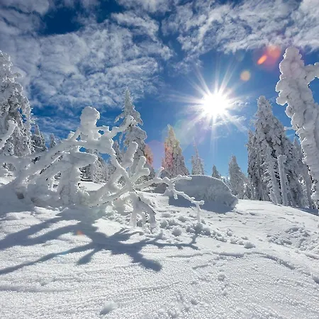 Domek Karpatka 2 Przy Wyciagu Narciarskim 4 Pokoje Dwie Lazinki Apartment Karpacz